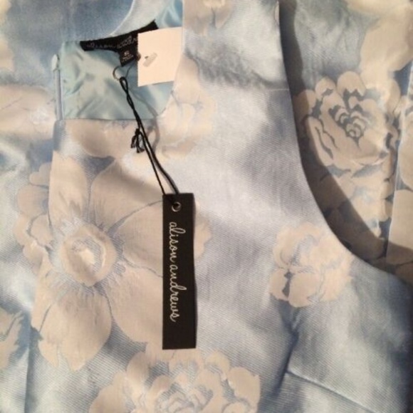 NEW! Sky Blue Jacquard Fit n Flare Dress - Picture 4 of 4